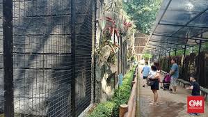 Ada banyak sekali bahan yang bisa dipakai. Setelah Mal Bandung Akan Buka Tiga Tempat Wisata