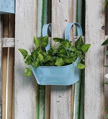Get travel offers, trip reminders and other updates by email. Buy Blue Metal Oval Railing Planter By Green Girgit Online Railing Planters Pots Planters Home Decor Pepperfry Product