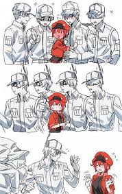 Pin On Hataraku Saibou