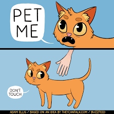 Pet Me With Your Eyes Funny Pics Funnyism Funny Pictures