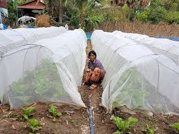 Exclusion is a delightfully simple organic strategy that relies on preventing access by fruit fly, codling moth, possums and birds to the. Pest Control Technology Helps Cambodian Farmers Boost Yields And Profits Asiaagtech