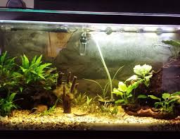 Yes, these tanks can also be used marine water tanks can be ordered 3 different ways to fit your needs: 35 Gallons Fish Tanks And Aquariums Ratemyfishtank Com