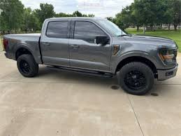 Image result for Silver 1981 Bronco