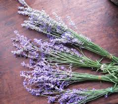 Delicate, fragrant lavender is easy to dry and preserve so that it may be used in scented sachets or as part of a dried flower arrangement. Grow Lavender In Acid Or Clay Soil Dengarden