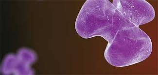 Methotrexate versus tocilizumab for treatment of giant cell arteritis: Systemfehler Ausschalten Therapie Medikamente Derstandard At Gesundheit