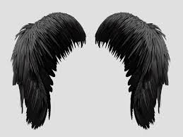 Angel Wings Images Black And White Black Angel Wings Png Free Image Isolated Objects Textures For Photoshop In 2020 Angel Wings Png Horror Photo Manipulation Wings Png