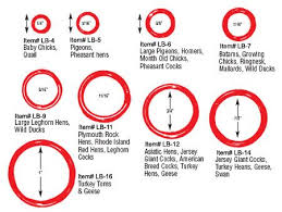 Leg Band Size Chart Meyer Hatchery Chicken Legs Chicken Band Leg Bands