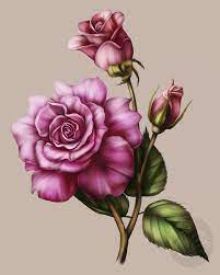 Artwork Roses Drawing Flower Art Flower Painting