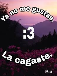 Para Mi Crush 3 Love Quotes Lovequotes Citasdeamor Crush Love Mi Para Quotes Love Quotes Tumblr Love Love Memes
