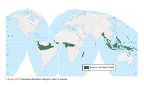 As i already mentioned, the tropical rainforests are located between the tropic of cancer and the tropic of. Solved Using The Map Of Tropical Rainforest Distribution Figu Chegg Com