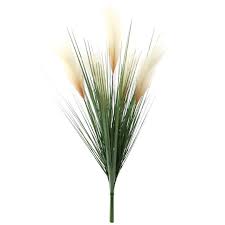 Check spelling or type a new query. Cream Pampas Grass Bush By Ashland Michaels