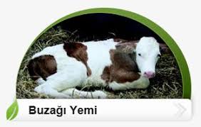 Besyem Besi Yemi Hayvan Yemi Sut Yemi Tavuk Yemi Hayvan Urunler