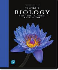 Tour of an animal cell: Https Www Pearsonhighered Com Assets Preface 0 1 3 5 0135855837 Pdf