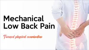 Image result for Low Back Exam