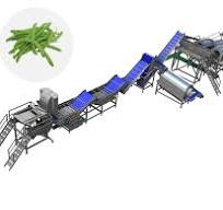 Green bean PROCESSING LINE - food processing equipment ...