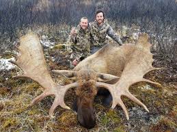 Canadian Moose Caribou Combo Hunt 21 British Columbia Canada Bookyourhunt Com