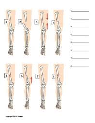 Types Of Fractures Identification Quiz Or Worksheet Types Of Fractures Fractures Worksheets