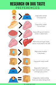 Research On Dog Taste Dog Food Recipes Best Dog Food Dry Dog Food