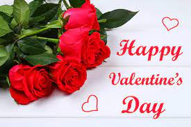 We did not find results for: Hd Wallpaper Holiday Valentine S Day Flower Happy Valentine S Day Red Flower Wallpaper Flare