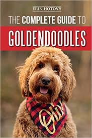 She is the cutest pup you will lay your eyes on. Buy The Complete Guide To Goldendoodles How To Find Train Feed Groom And Love Your New Goldendoodle Puppy Book Online At Low Prices In India The Complete Guide To Goldendoodles How