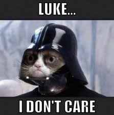 My Fav Grumpy Cat Meme Goodbye Sweet Girl Album On Imgur
