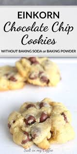 Einkorn Chocolate Chip Cookies No Baking Soda Or Baking Powder Recipe In 2020 Soda Recipe Cookie Recipe Without Baking Soda Cookies Recipes Chocolate Chip