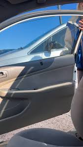 Image result for Dewildemania