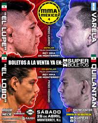 Roman Sandoval vs. Javier Solis Pérez, MMA Mexico 4