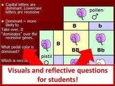 Dominant Vs Recessive Genes Powerpoint Presentation Scienceteacher Stem Science Middle School Science Resources Science Teaching Resources High School Fun