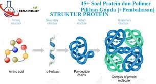 45 Contoh Soal Protein Dan Polimer Pilihan Ganda Pembahasan Kali Ini Tim Kimia Space Akan Berbagi Soal Tentang Protein Beser Eksperimen Kimia Kimia Protein