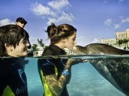 Playtime With Dolphins & Aquaventure - Nas Shore Excursions | Carnival  Cruise Line