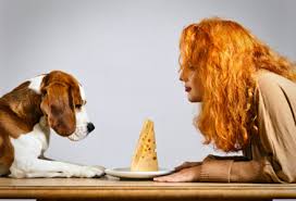 Aici iti vei da seama ce caine ti se potriveste ! Ce Caine Ti Se Potriveste