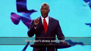 Bishop Dale C Bronner Age Bishop Dale Bronner Look At The Birds Youtube