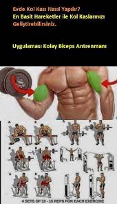 ileri seviye kol kasi buyutme programi kol kaslari vucut gelistirme workout