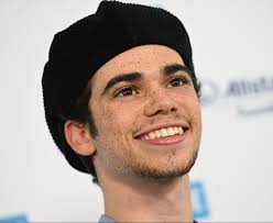 You mean everything to us 💖. Disney Cancels Descendants 3 Premiere After Cameron Boyce S Death