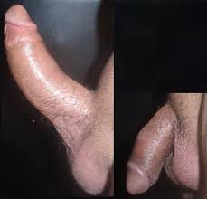 Fotos - Nuestras pollas flácidas y erectas [Contenido propio] | FORO PORNO  | Sexo, porno y morbo