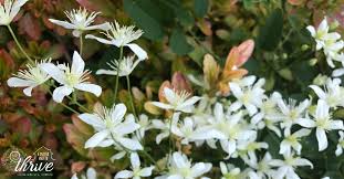 We did not find results for: To The Heartbroken Woman Walking Through Miscarriage A Better Way To Thrive