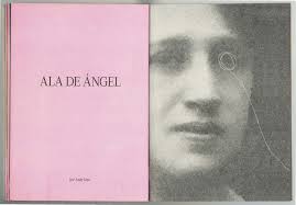 ALA DE ANGEL