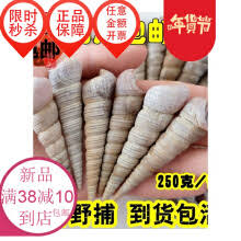 Image result for 大連海螺絲