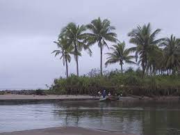 A wide variety of mayorga leyte options are available to you Mayorga Leyte Wikipedia
