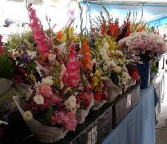 State farmers market restaurant sobre state farmers market restaurant. One Of The Flower Vendors Picture Of State Farmers Market Raleigh Tripadvisor