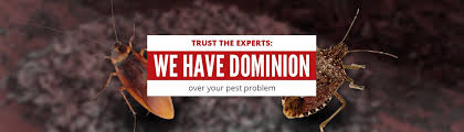 If you are looking for pest control lancaster pa, there are two great sites for information, but only one great pest control company: Residential Commercial Exterminator Full Service Pest Control Dominion Pest Control