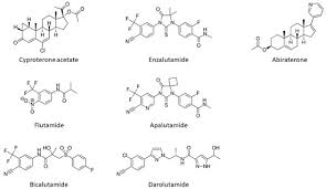 Cancers Free Full Text Eighty Years Of Targeting Androgen Receptor Activity In Prostate Cancer The Fight Goes On Html