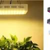 We have compared the grow lights on their actual wattage below. 3