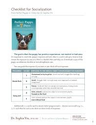 We did not find results for: Puppy Socialization List