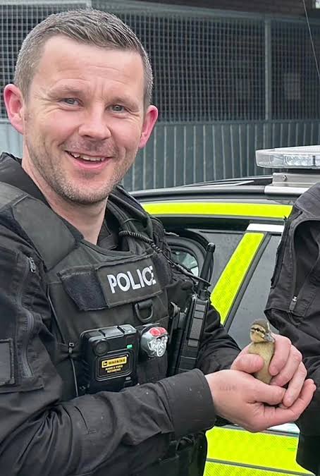 All we know about A66 crash that killed seven as police officers and young  men who died after pursuit are named - Yahoo