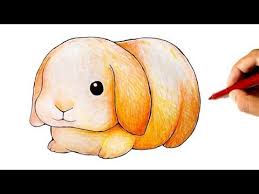 How To Draw A Cute Lop Bunny Rabbit Drawing Drawings Bunny