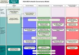 National E Health Strategy Governing Ehealth Investments