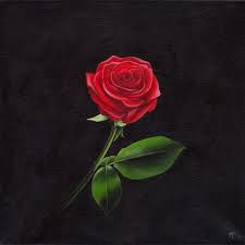 Peinture Rose Rouge Sur Fond Noir Peinture Rose Fond Noir Dessin Fleur