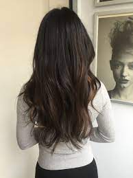Bayalage Indian Hair Dark Hair Indian Hairstyles Indian Hair Color Indian Hair Highlights